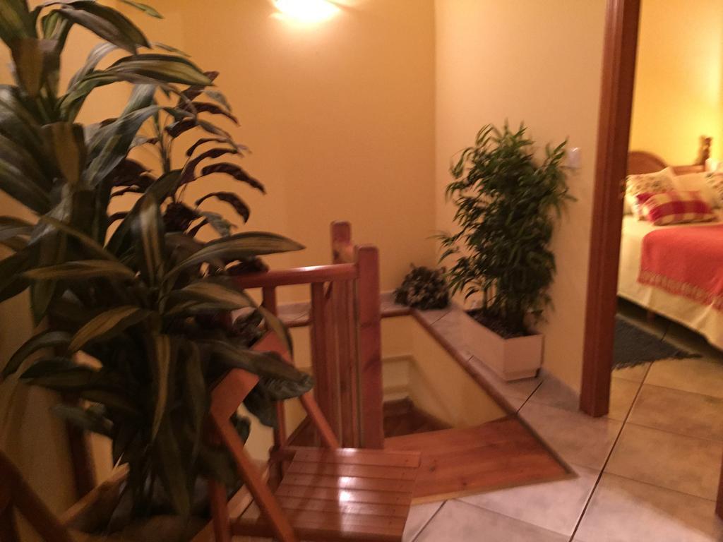 La Fusteria Del Casat Apartment Sarroca de Bellera Exterior photo
